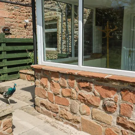 Mousehole Holiday home *
